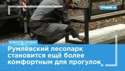 New benches installed in Rumlyovsky Forest Park