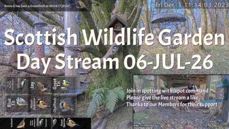 Bird Feeder and Wildlife Camera in Scotland