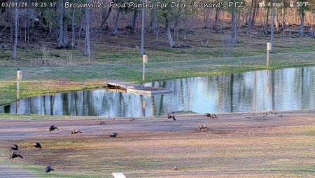 Brownville Deer Feeding Sanctuary in Maine
